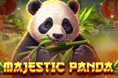 Trải nghiệm trò chơi và cá cược tại buomtv trên di động với giao diện thân thiện